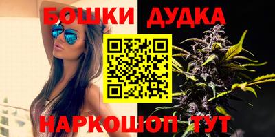 индика Аргун