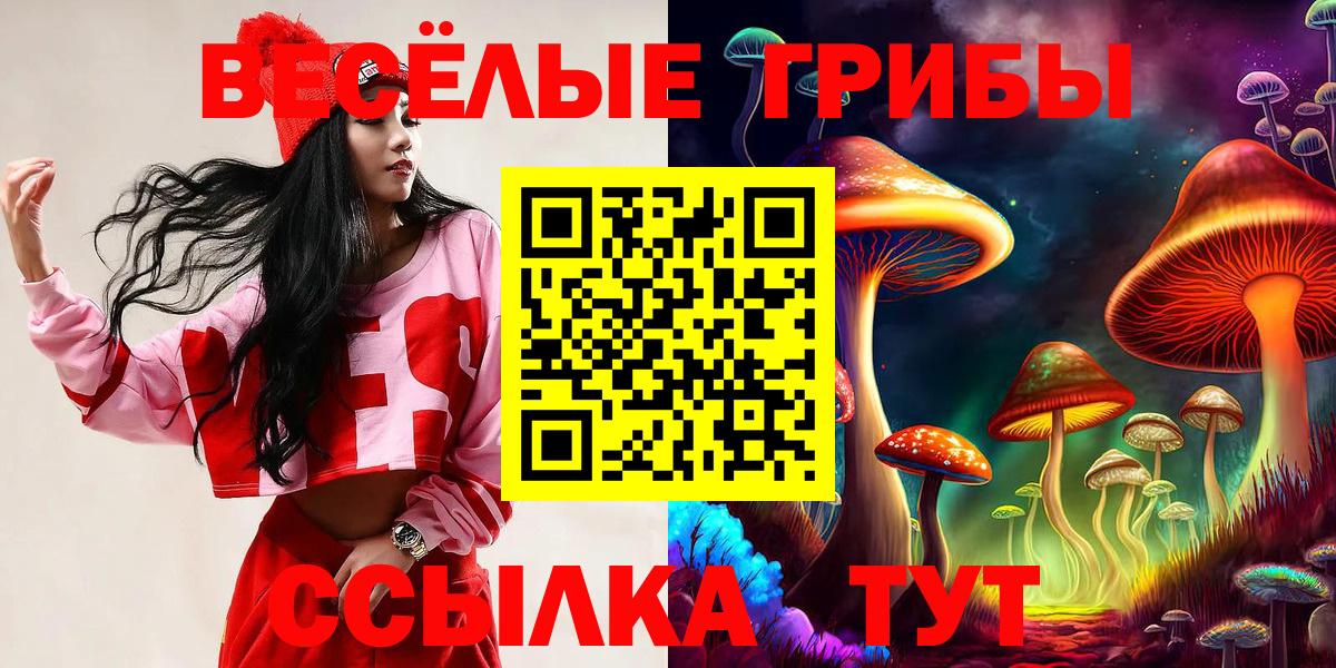 Псилоцибиновые грибы GOLDEN TEACHER Тосно
