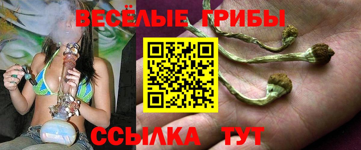 Галлюциногенные грибы мухоморы  Вход с VPN  Тосно  Псилоцибиновые грибы Psilocybine cubensis 